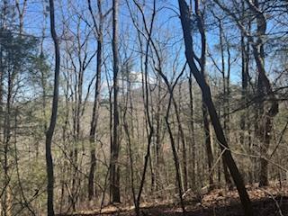 Lot 14 Butler Creek Road