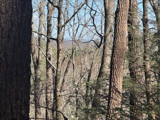 Lot 14 Butler Creek Road