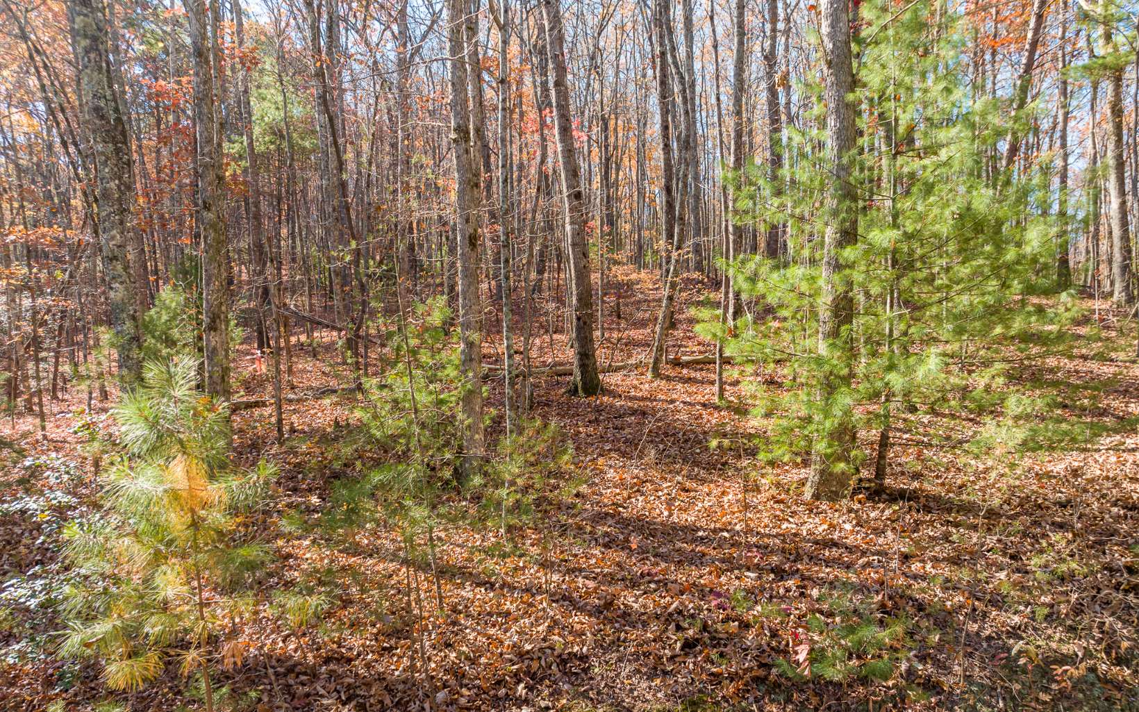 LOT 7 Joseph Anderson Trail