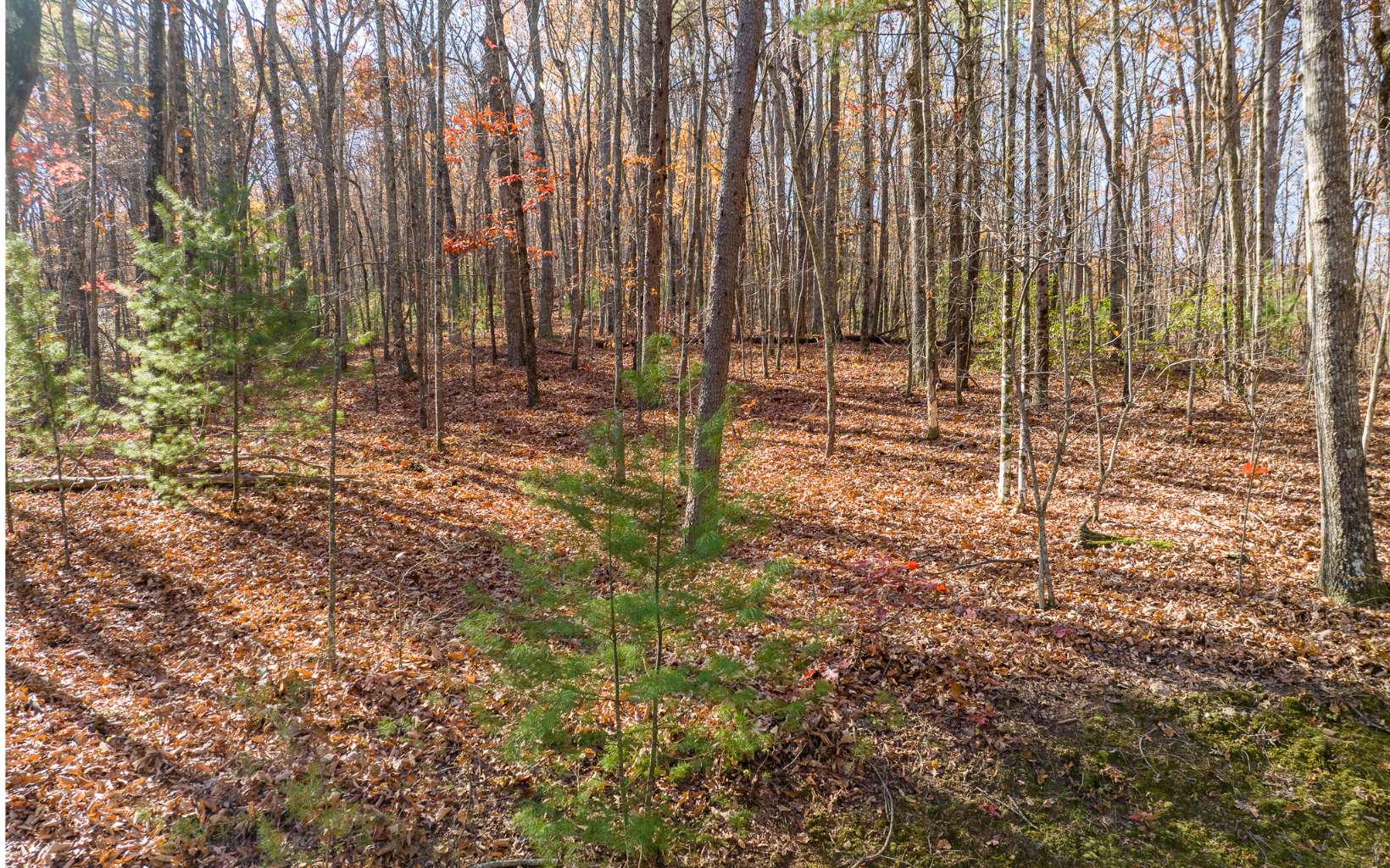 LOT 7 Joseph Anderson Trail