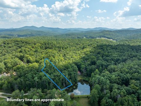 A home in Blue Ridge