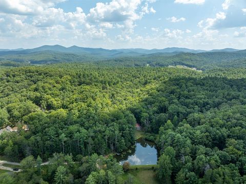 A home in Blue Ridge