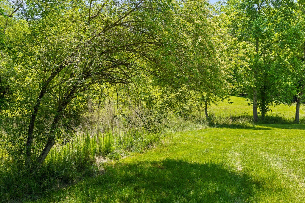 Lot 11 Squirrel Hunting Road