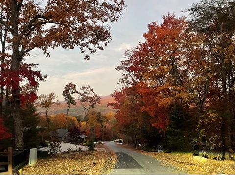 A home in Blue Ridge