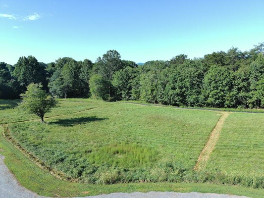 3 REID RD, BLAIRSVILLE, GA 30512 - Image 17be05d29f3a8542e934b9da27d1068b/2285607218