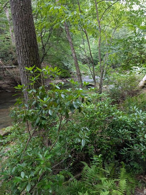 Lot 32 Byers Road Blairsville GA 30512