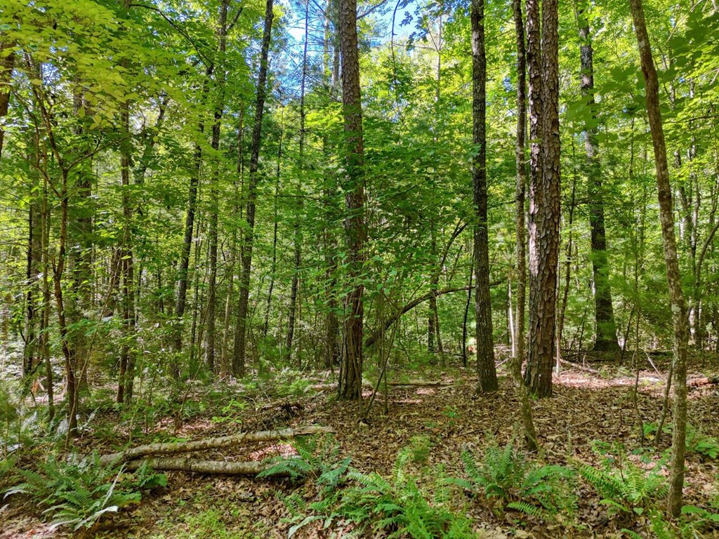 Lot 8AB Lake Breeze Lane