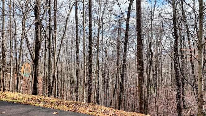 LOT 10 Overlook At Y.H.