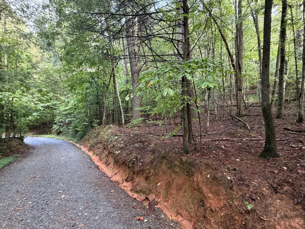 0 Peach Lane