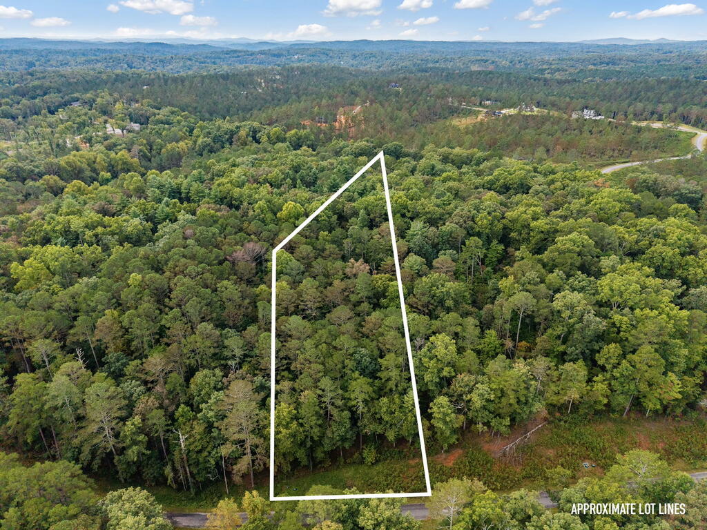 Lot 195R Pinnacle Dr