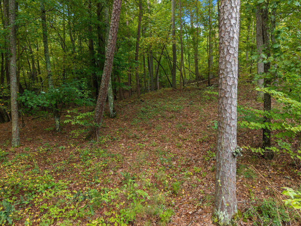 Lot 195R Pinnacle Dr
