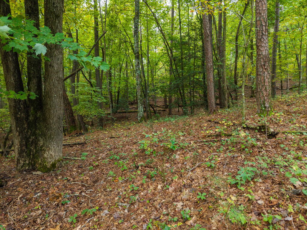 Lot 195R Pinnacle Dr