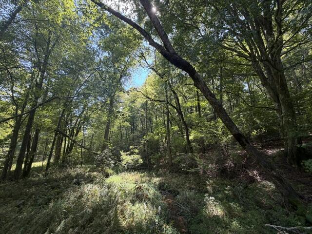 6.13 AC Lucius Road