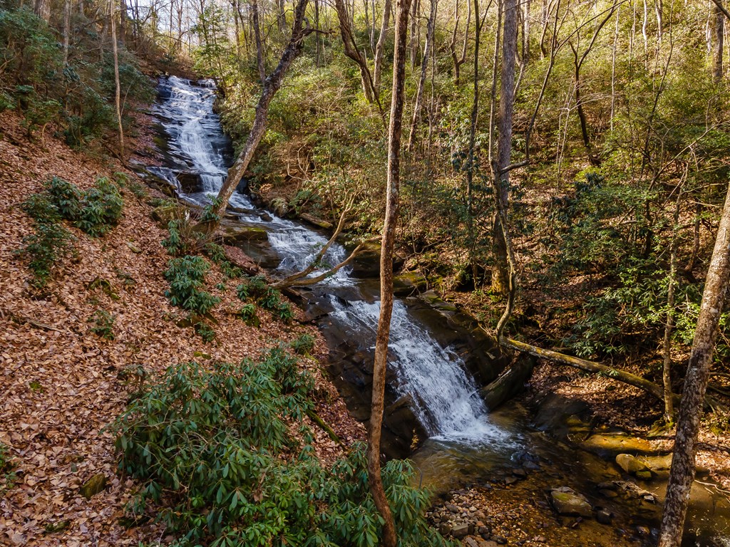 185 Huckleberry Cove Drive