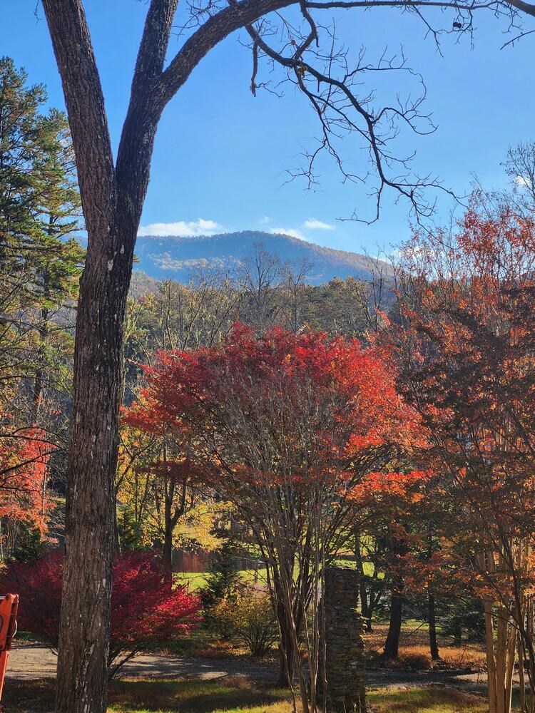 350 Miller Cove Road