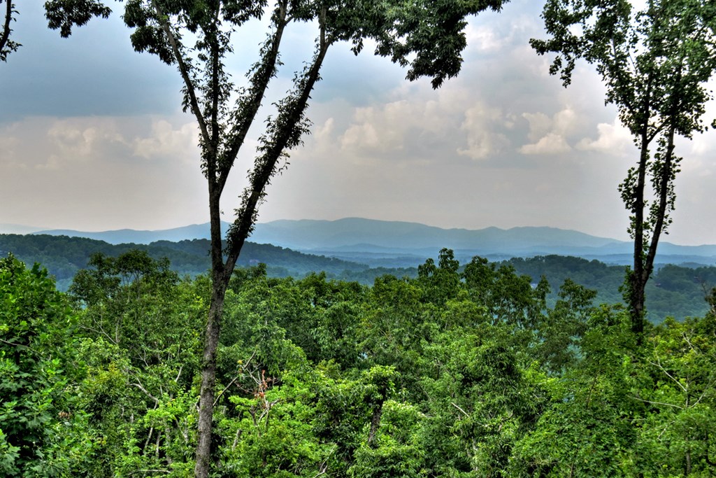 415 Green Ridge Trail