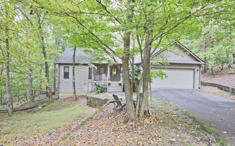 31 Fairview Court Jasper GA 30143