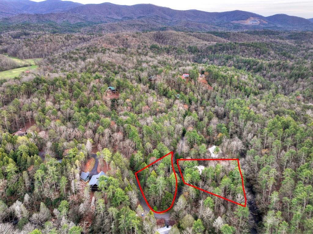 Cherry Log, Georgia, 30522, United States, 4 Bedrooms Bedrooms, ,4 BathroomsBathrooms,Residential,Active,2031430