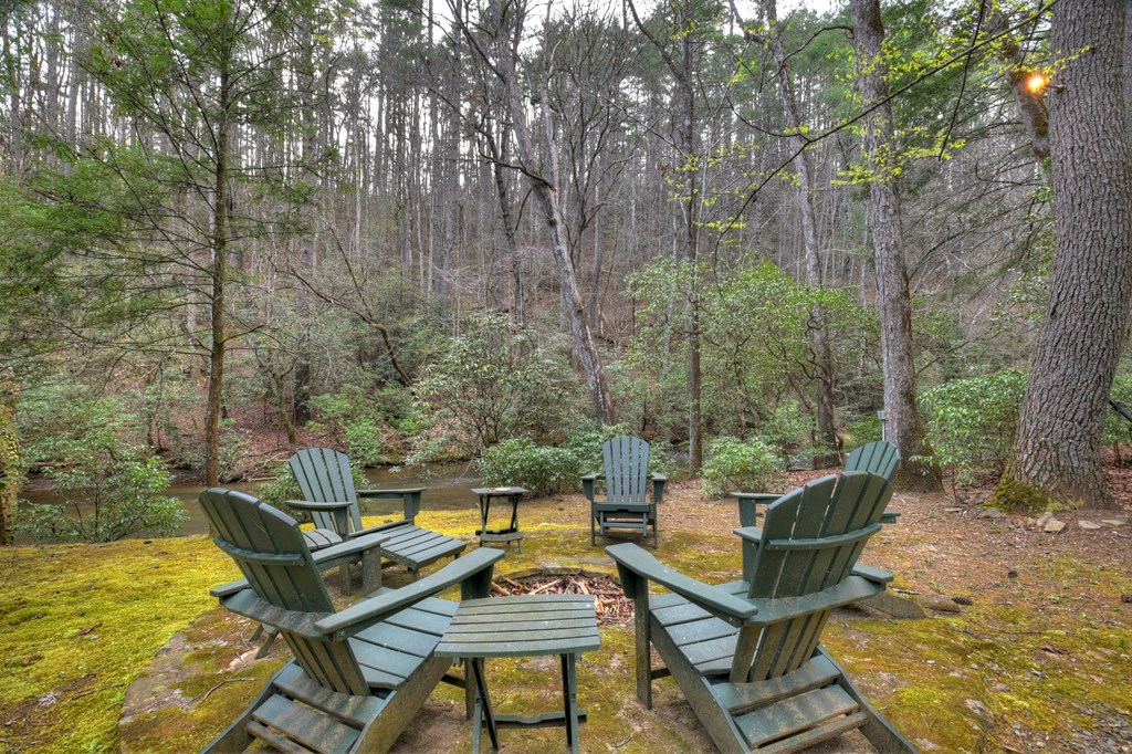 Cherry Log, Georgia, 30522, United States, 4 Bedrooms Bedrooms, ,4 BathroomsBathrooms,Residential,Active,2031430