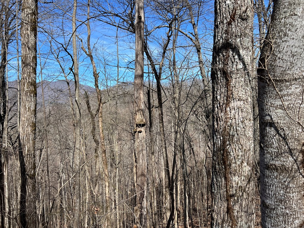 Lot 15 Bear Trail,Phase 2