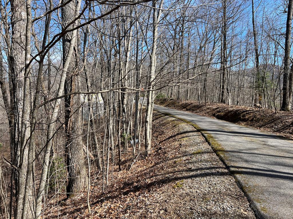 Lot 15 Bear Trail,Phase 2