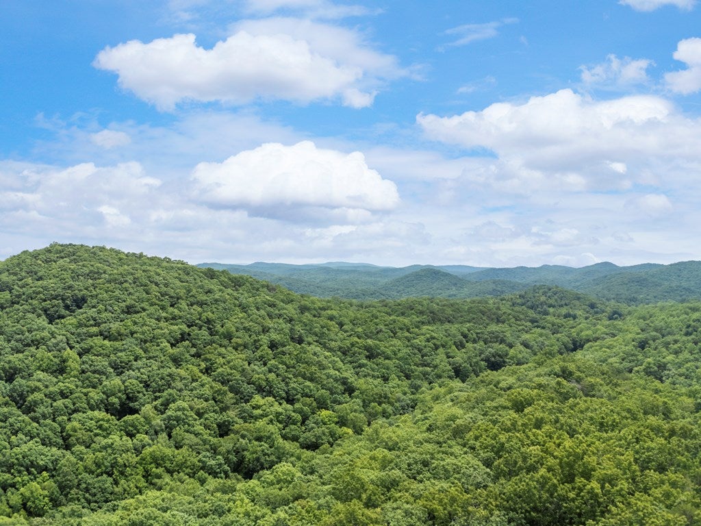 57.64 ac Mountain Ash Road