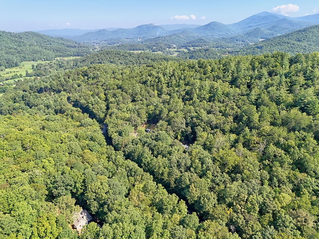 2486 Bill Brown Cove Road