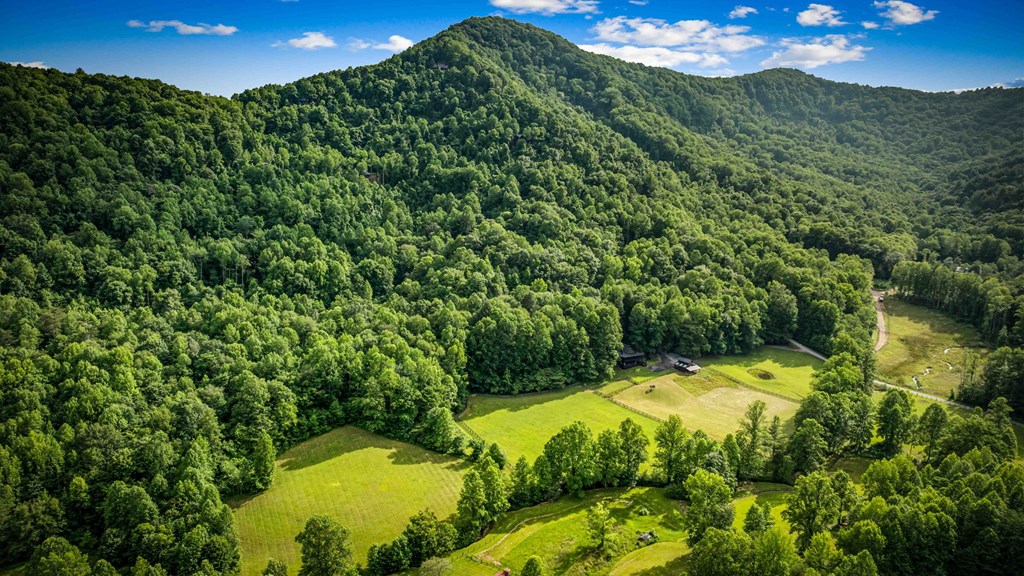 Blue Ridge, Georgia, 30513, United States, 3 Bedrooms Bedrooms, ,4 BathroomsBathrooms,Residential,Active,2008330