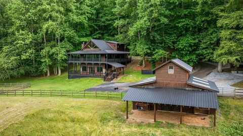 225 Cohutta Ranch Road Blue Ridge GA 30513
