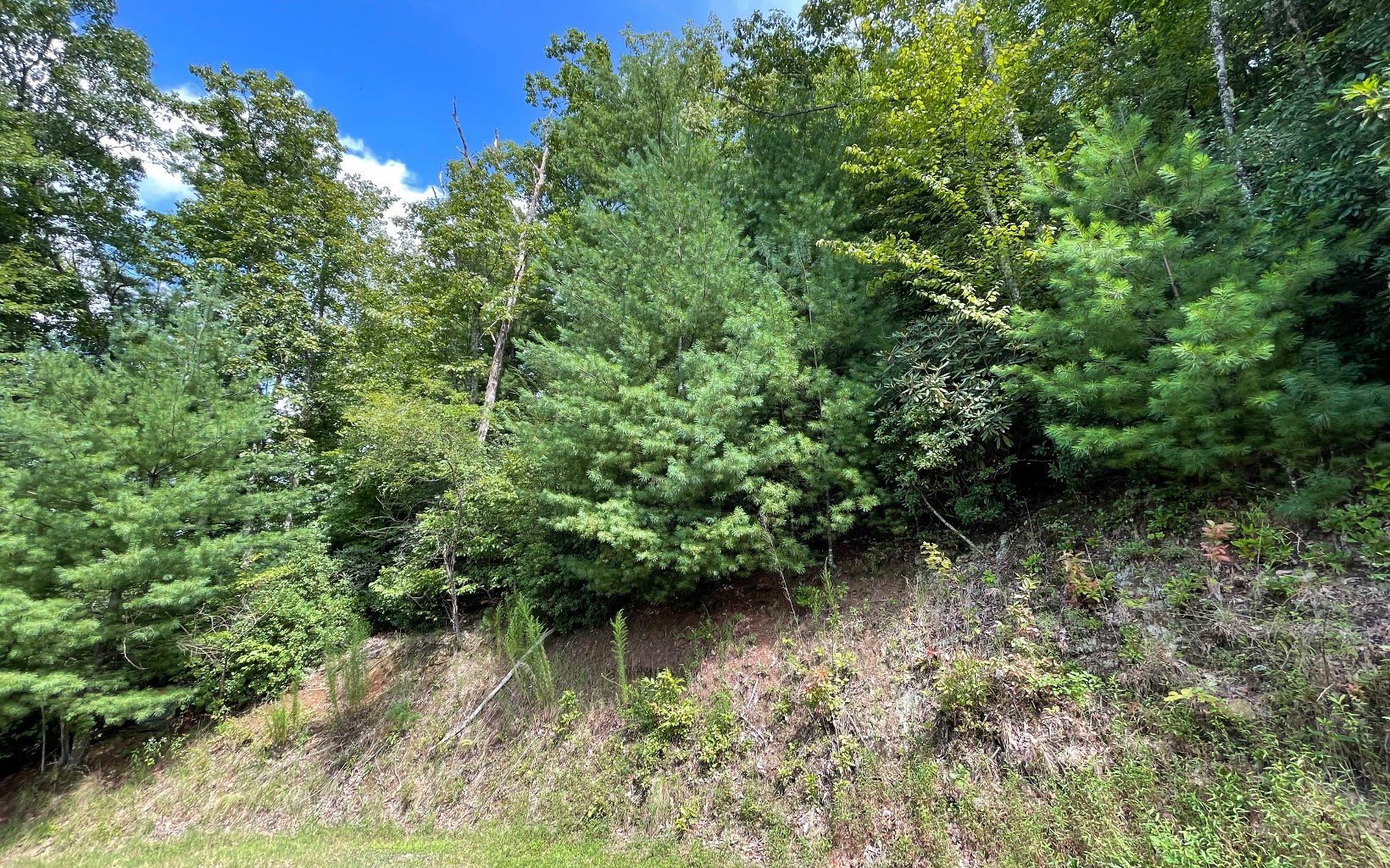 Lot 73 Fires Creek Cove Road