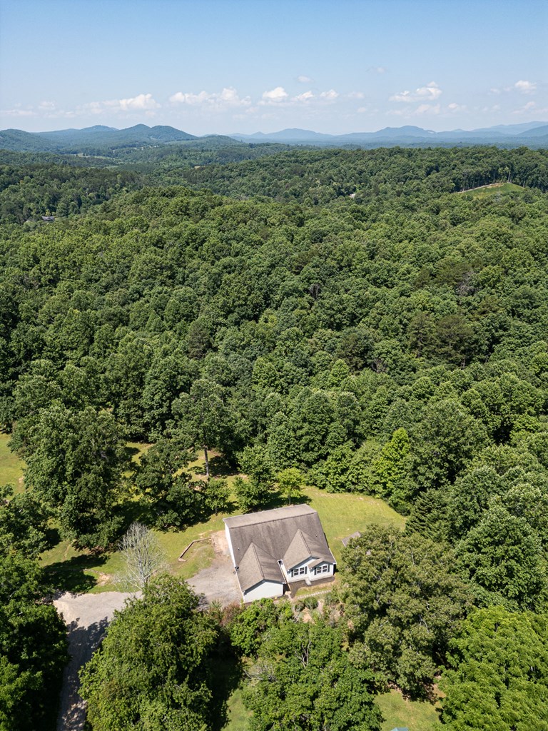 58 Big Pine Trail
