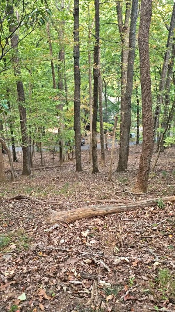 315 Windflower Drive