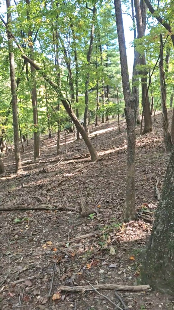 315 Windflower Drive