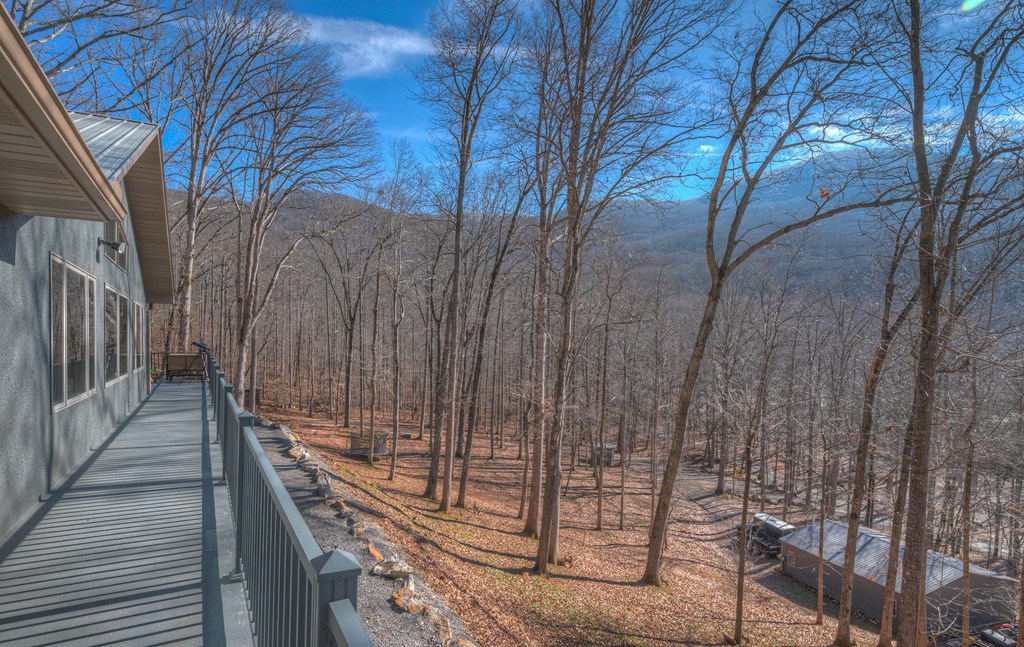 Hiawassee, Georgia, 30546, United States, 3 Bedrooms Bedrooms, ,2 BathroomsBathrooms,Residential,Active,2007353