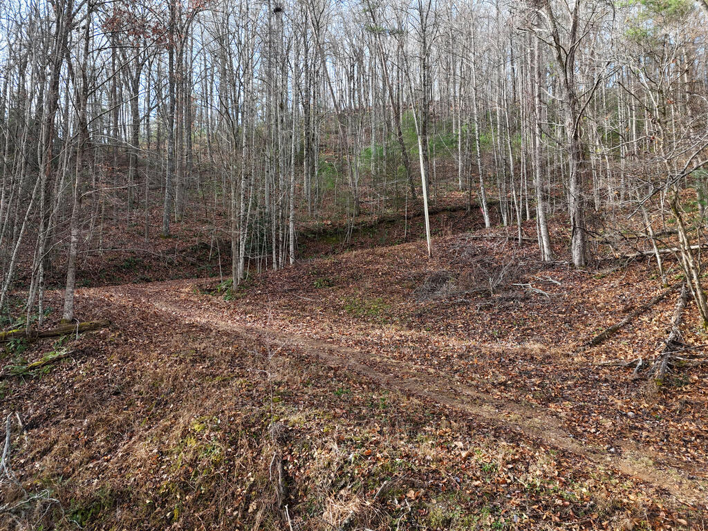 4.01 Ac Park Hill Avenue