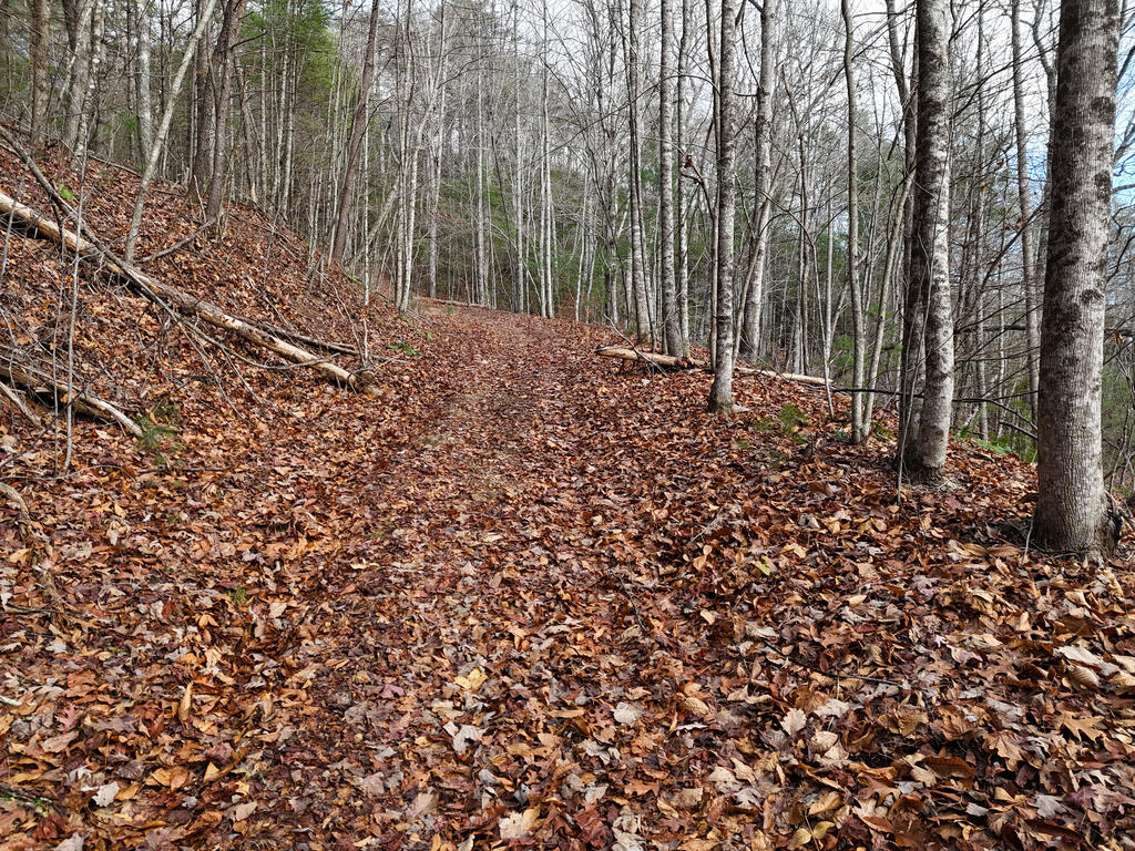 4.01 Ac Park Hill Avenue
