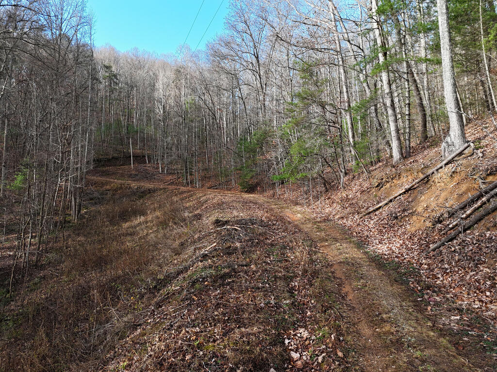4.01 Ac Park Hill Avenue