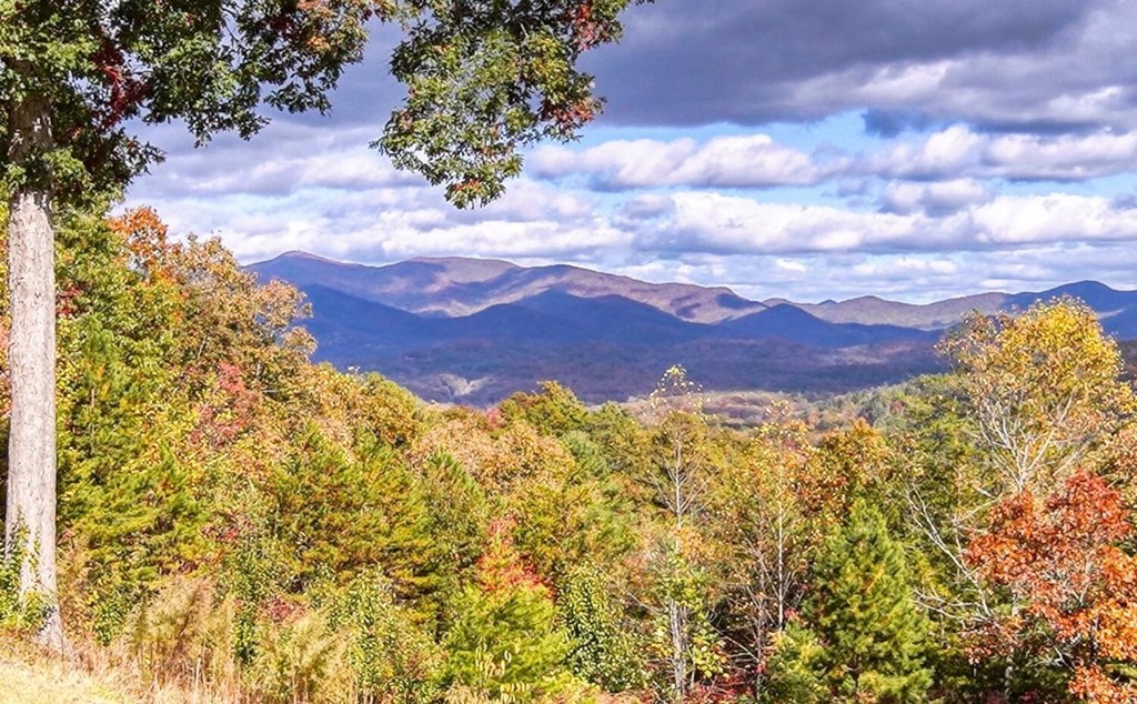 170 High Vista
