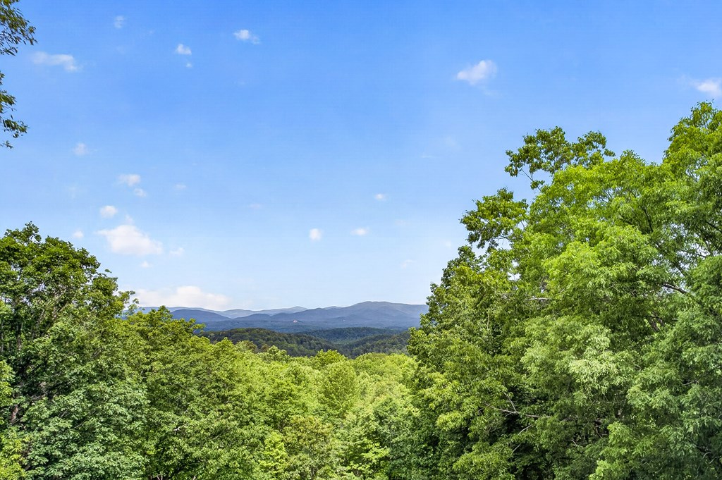 747 Mountain Oak Road