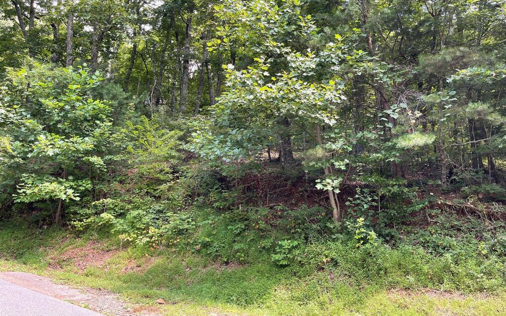 #10 Mountain Drive N