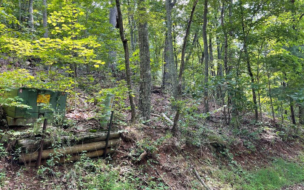 #10 Mountain Drive N
