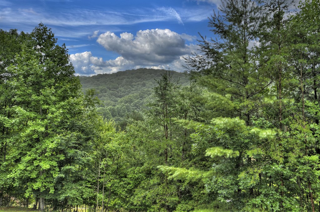 3006 Doublehead Gap Road