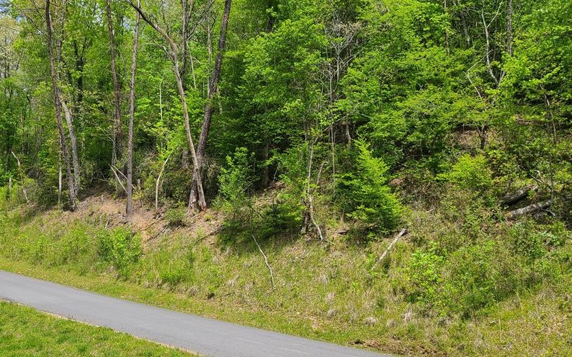 101 River Mountain Road