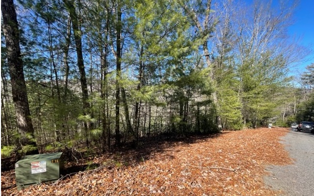 LT 43 Ridge View Way