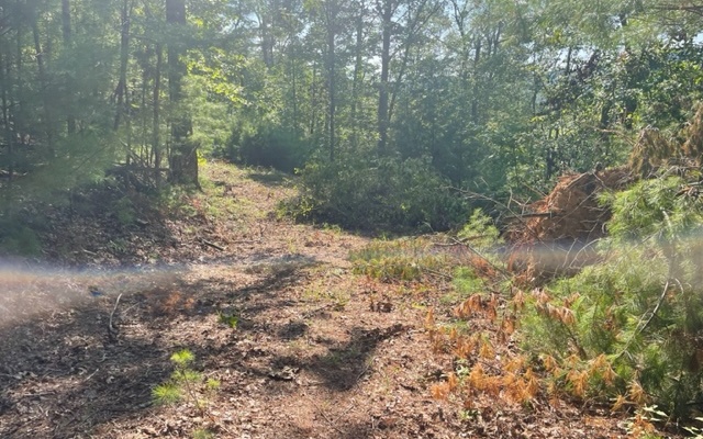 LT 43 Ridge View Way