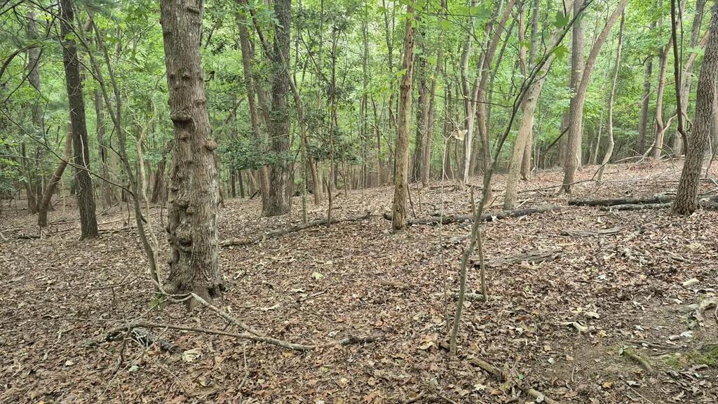.57 Ac. Villa Drive