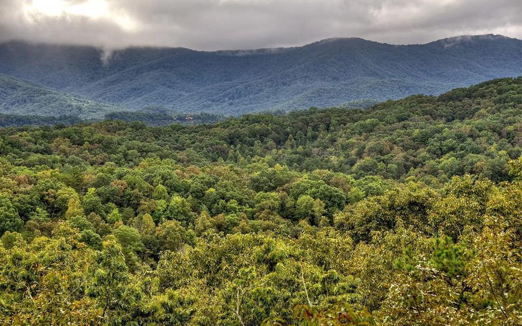 848 Maggie Chapman Road