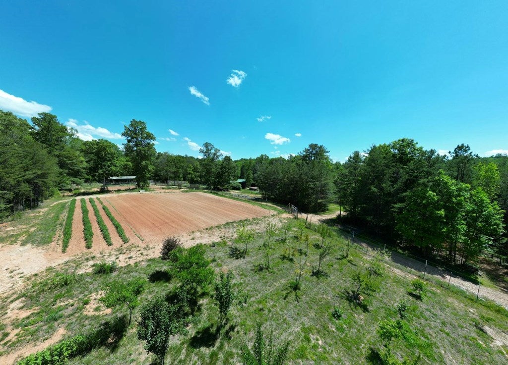 357 Nottely Woods Road E