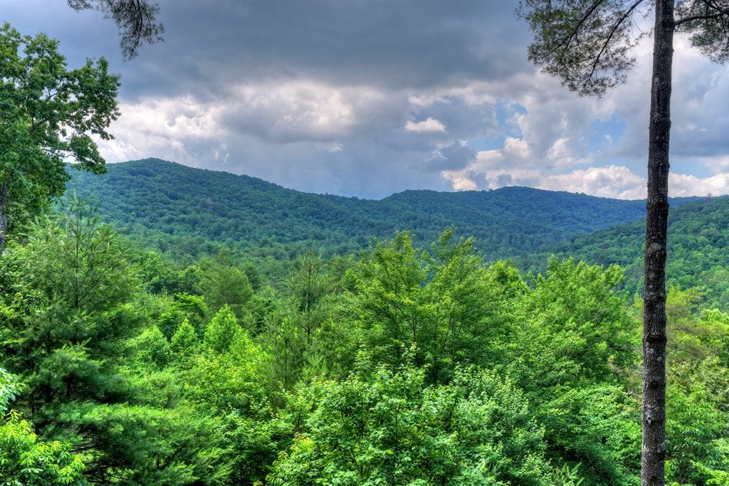 255 Indian Ridge Road