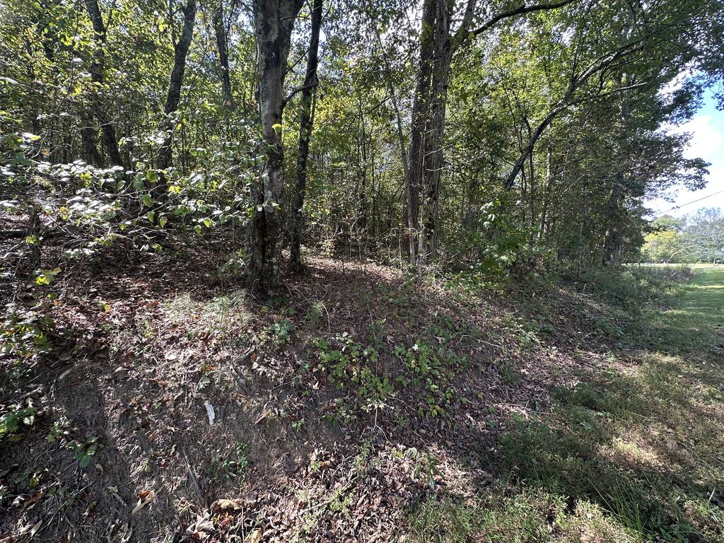 0 Carver Mill Road